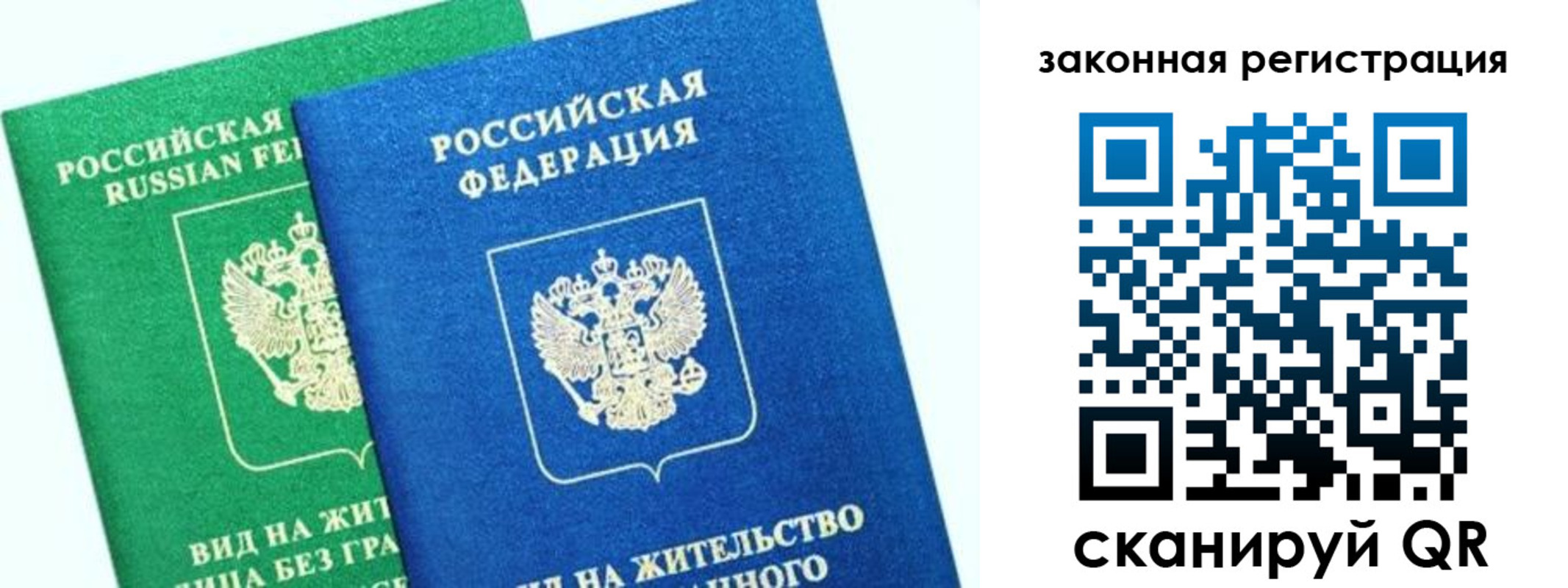 купить прописку в Димитровграде